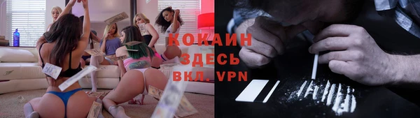мет Новодвинск