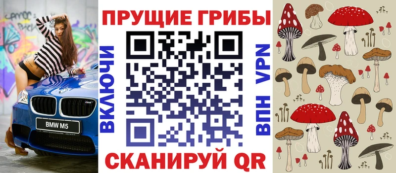 Галлюциногенные грибы Cubensis  Купить  Каменка 